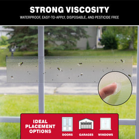 Catchmaster adhesive fly strip close-up showing clear glue for quick capture