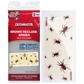 Catchmaster Brown Recluse Glue Board 6-Pack ready-to-use pest control for homes