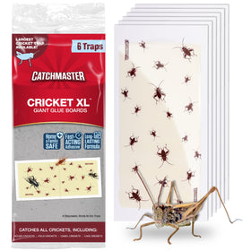 Catchmaster Cricket XL Giant Glue Board 6-Pack ready-to-use cricket trap along home pest pathways