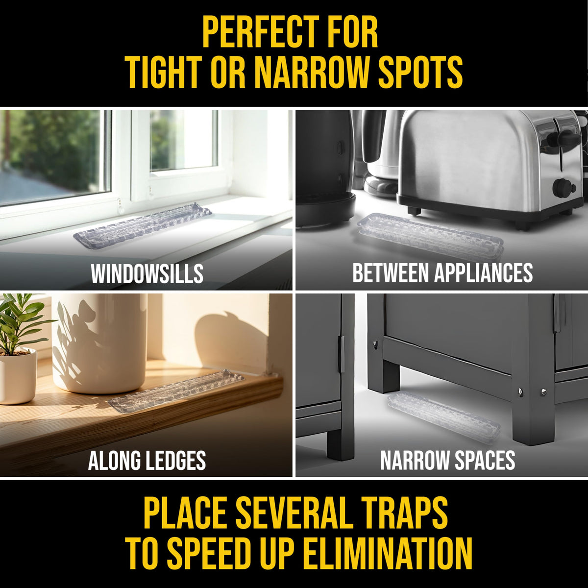 Catchmaster DEFIANT with 28 entry points maximizes access for ants.