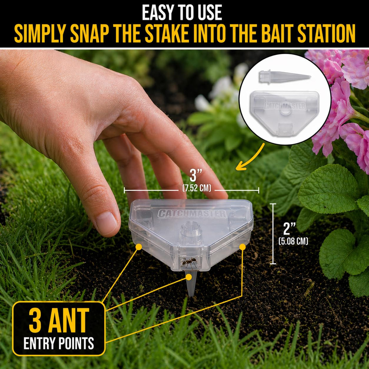 Catchmaster DEFIANT bait application station shows ants foraging activity