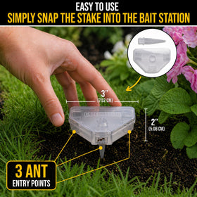 Catchmaster DEFIANT bait application station shows ants foraging activity