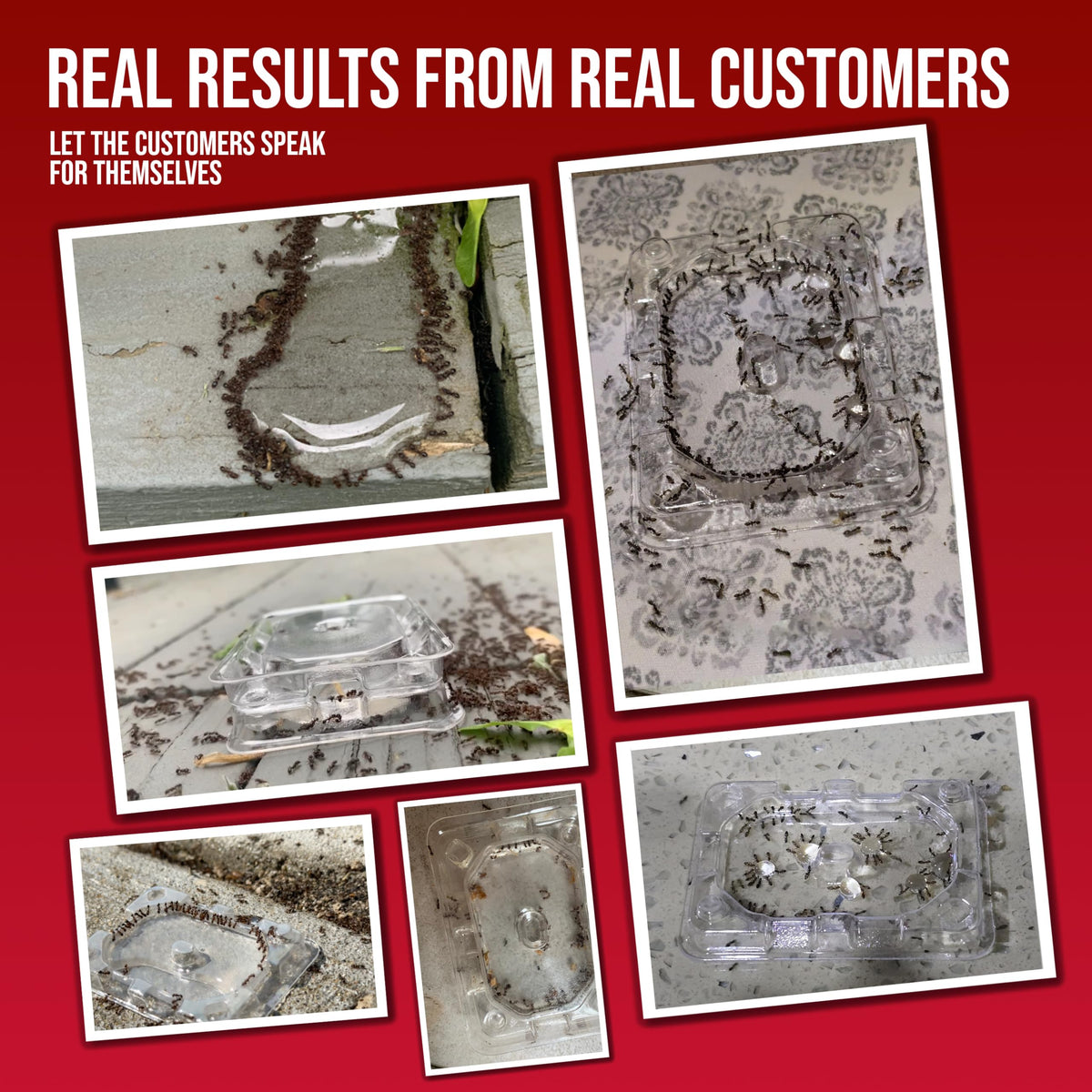 Catchmaster DEFIANT multi-surface traps cover baseboards, corners, and counters