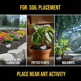 Catchmaster DEFIANT trap in soil demonstrates easy outdoor placement