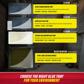 Catchmaster disposable large glue trap pad for long lasting use