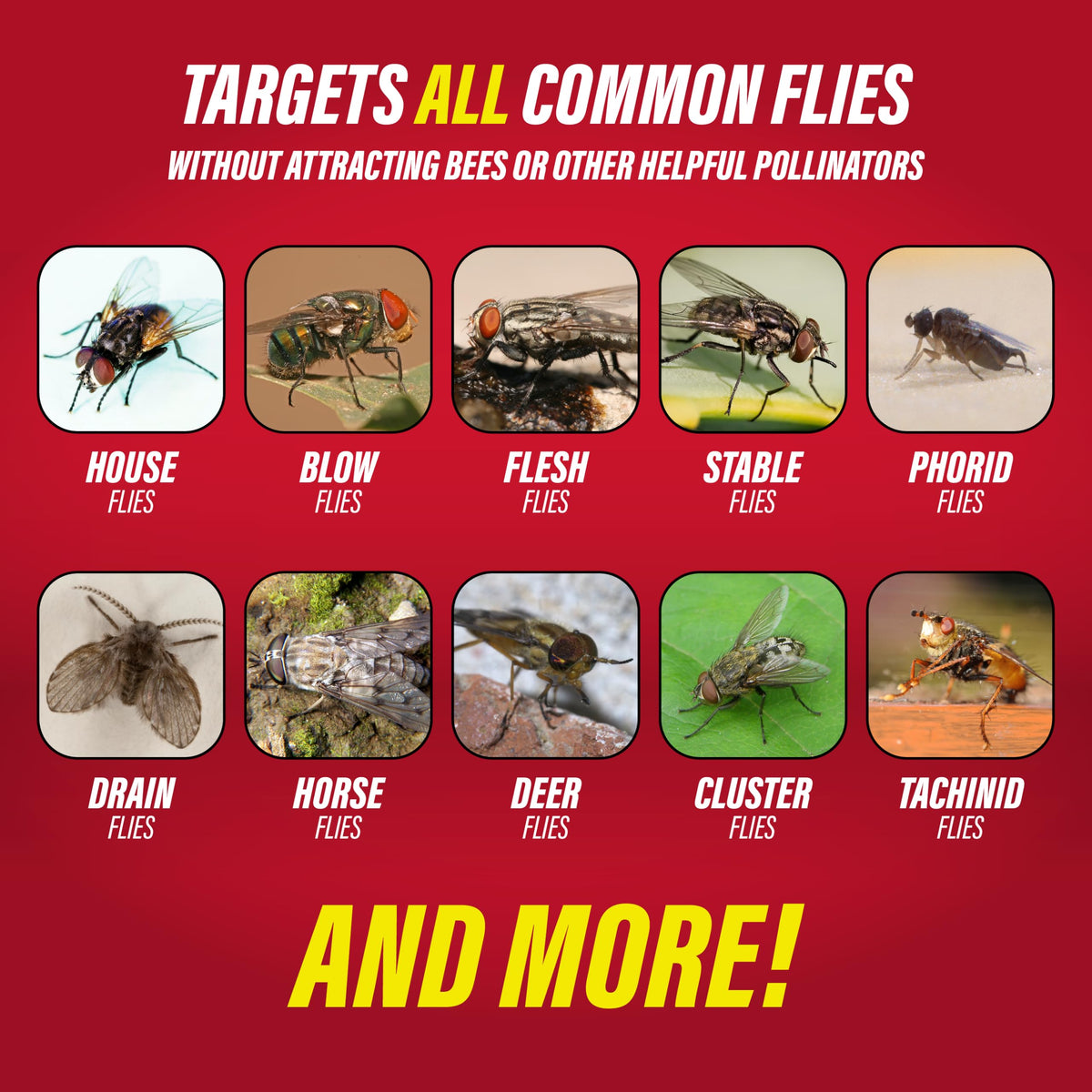 Catchmaster Fly Jar yard patio placement captures flies near outdoor living areas.