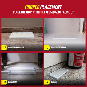 Catchmaster glue traps in cold weather protect basements and garages.