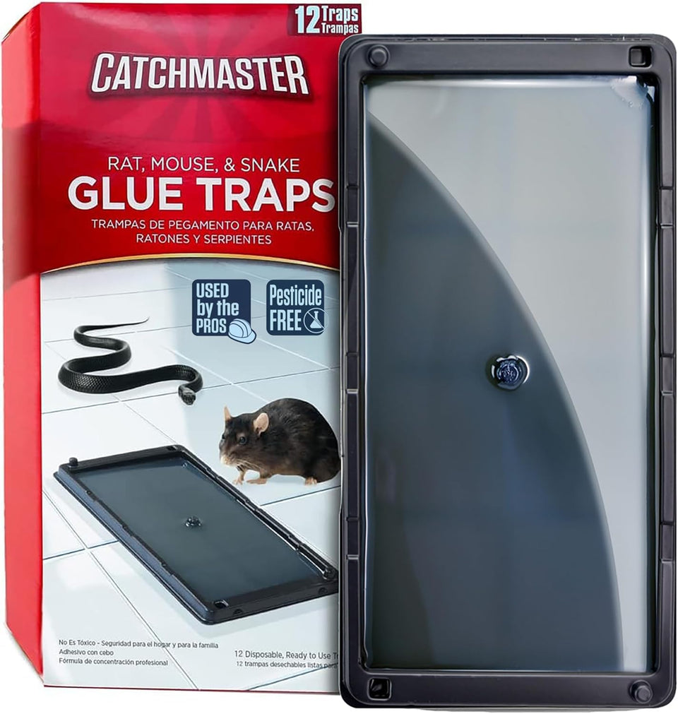 Catchmaster glue trap for rats and mice placed along indoor pathways for effective catching.