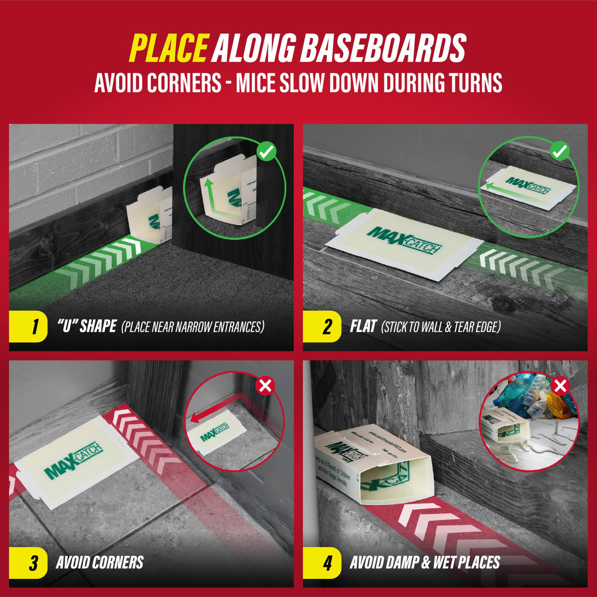 Catchmaster glue trap demonstrates pesticide-free year-round control.