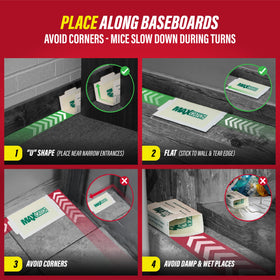 Catchmaster glue trap demonstrates pesticide-free year-round control.