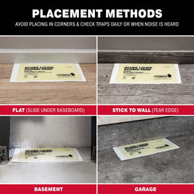 Catchmaster Gluee Louee indoor trap supports year-round home pest control.