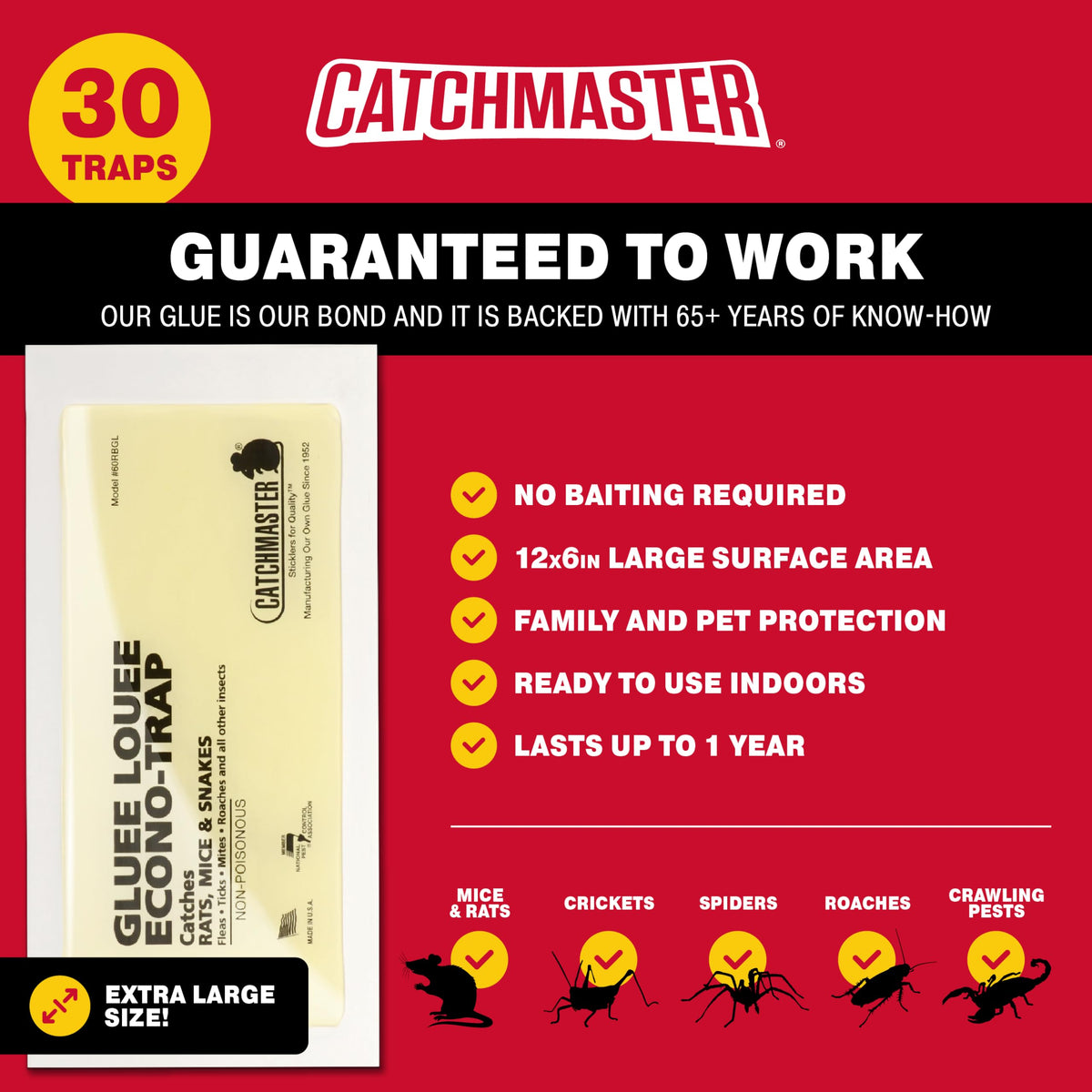 Catchmaster Gluee Louee indoor baseboard placement secures traps along walls.