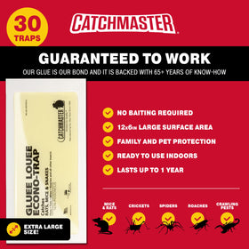 Catchmaster Gluee Louee indoor baseboard placement secures traps along walls.