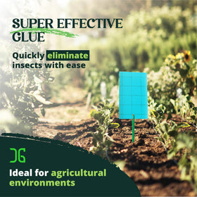 Catchmaster GRO Blue traps outdoors in a garden setting