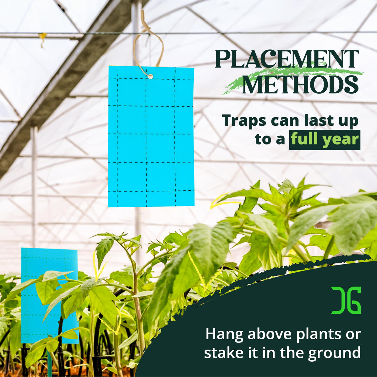 Catchmaster GRO Blue traps resist water and UV exposure