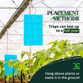 Catchmaster GRO Blue traps resist water and UV exposure