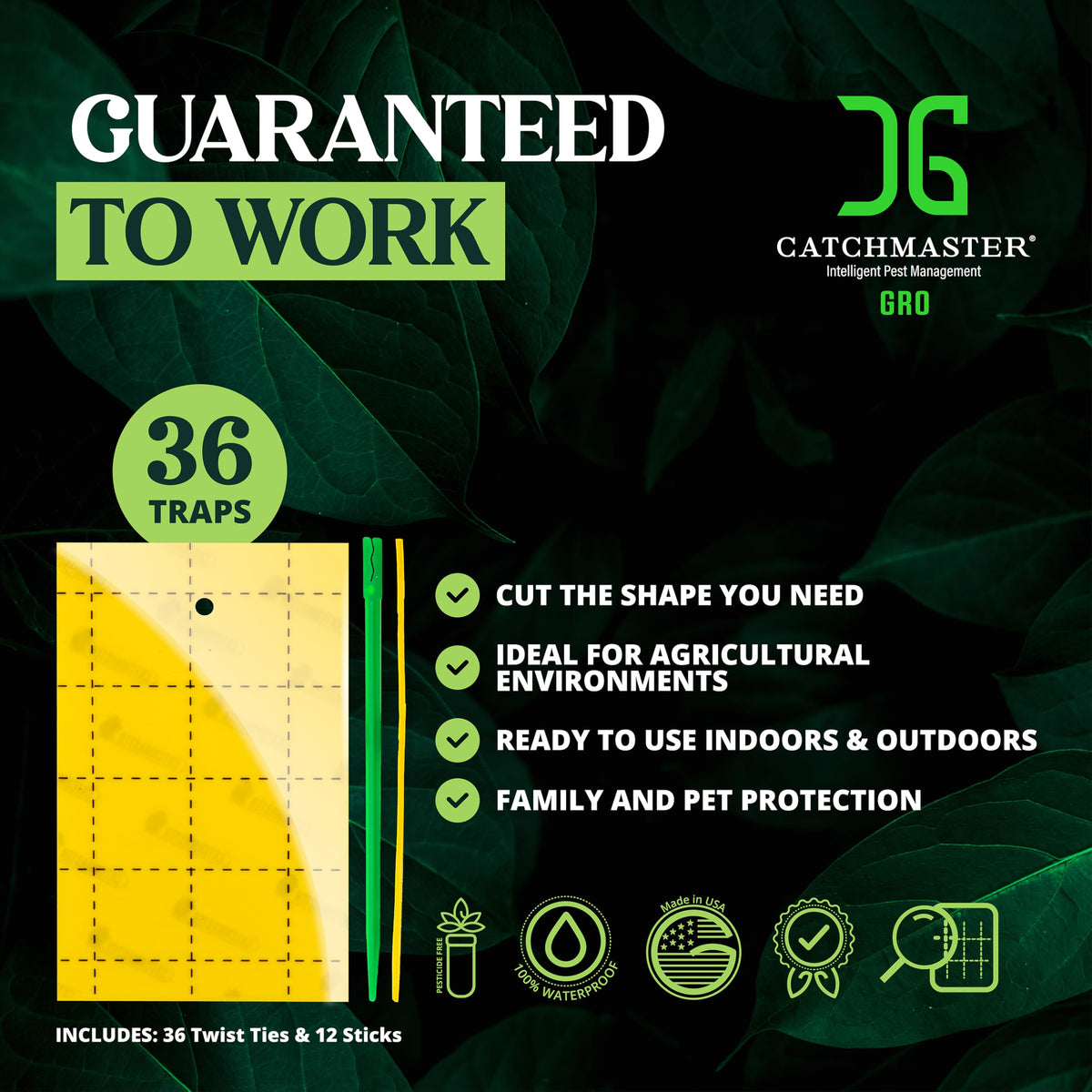 Catchmaster GRO yellow trap placed around live plants for protection.