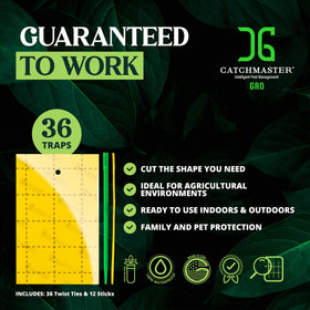 Catchmaster GRO yellow trap placed around live plants for protection.