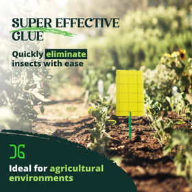Catchmaster GRO yellow trap staked in the ground for outdoor garden use.