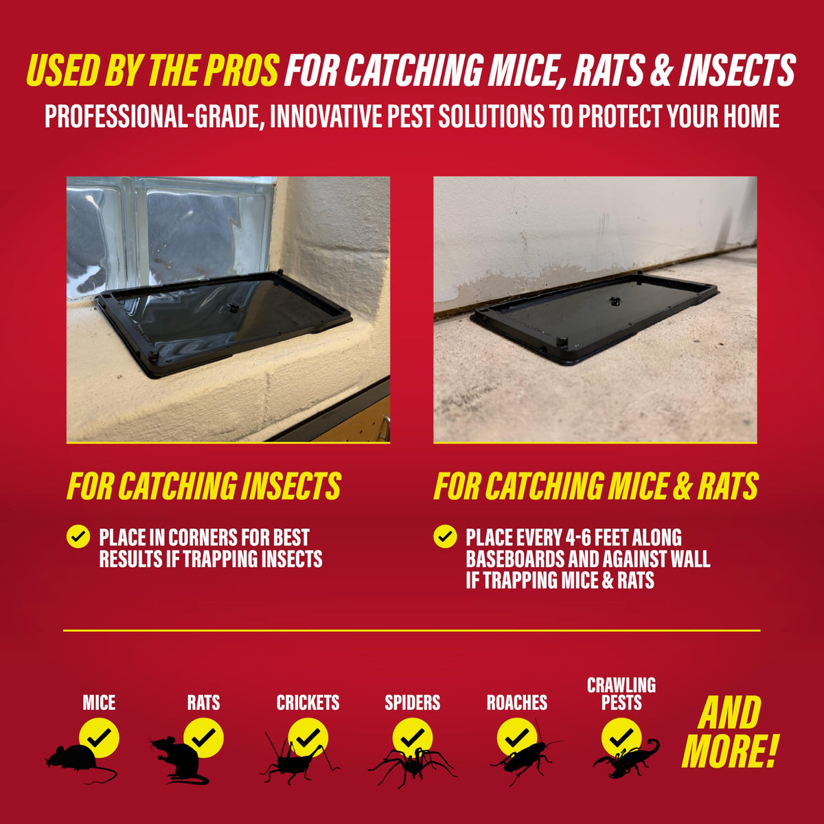 Catchmaster glue traps for home protection and clean use