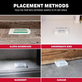 Indoor Catchmaster traps for home pest control in everyday settings