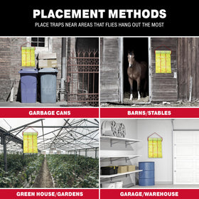 Intelligent pest management approach with Catchmaster glue traps in bulk.