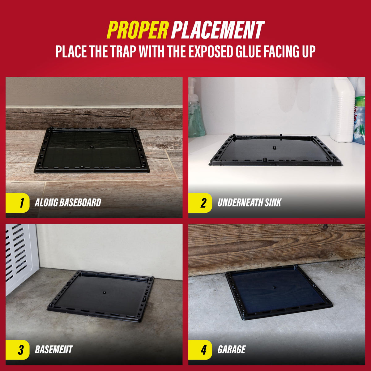Catchmaster Jumbo Glue Trap opened and ready to trap pests.