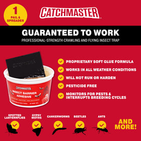 Catchmaster lanternfly and cankerworm traps placed around a tree in outdoor setting.