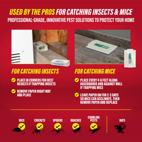 Catchmaster Max-Catch glue trap indoor use demonstrates versatile placement in homes.