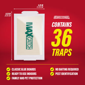 Catchmaster Max-Catch glue trap on wall ready to intercept pests.