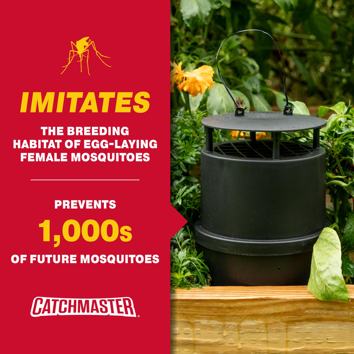Catchmaster Oasis Ovi-Mini glue boards pack for maintaining continuous pest capture.