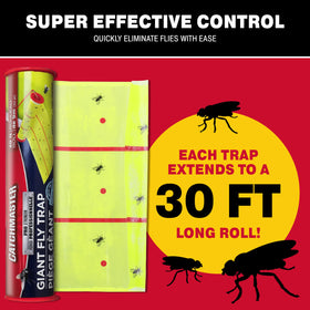 Catchmaster outdoor-indoor fly trap attached to a wall for sticky insect capture.