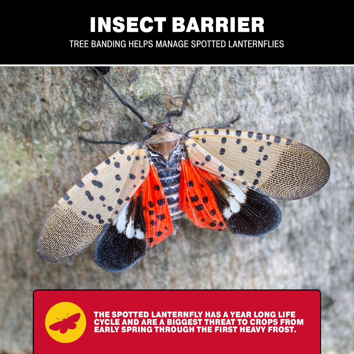 Catchmaster plastic wrap connection forming a seal for flying insect traps.