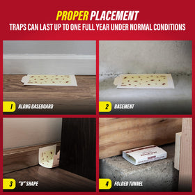 Catchmaster indoor glue trap effective in kitchens, garages, and living areas.