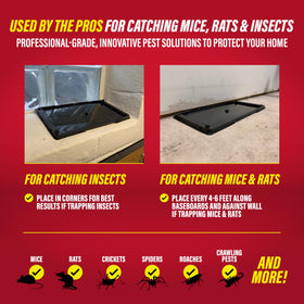 Catchmaster spider glue trap in a corner for quick insect management.