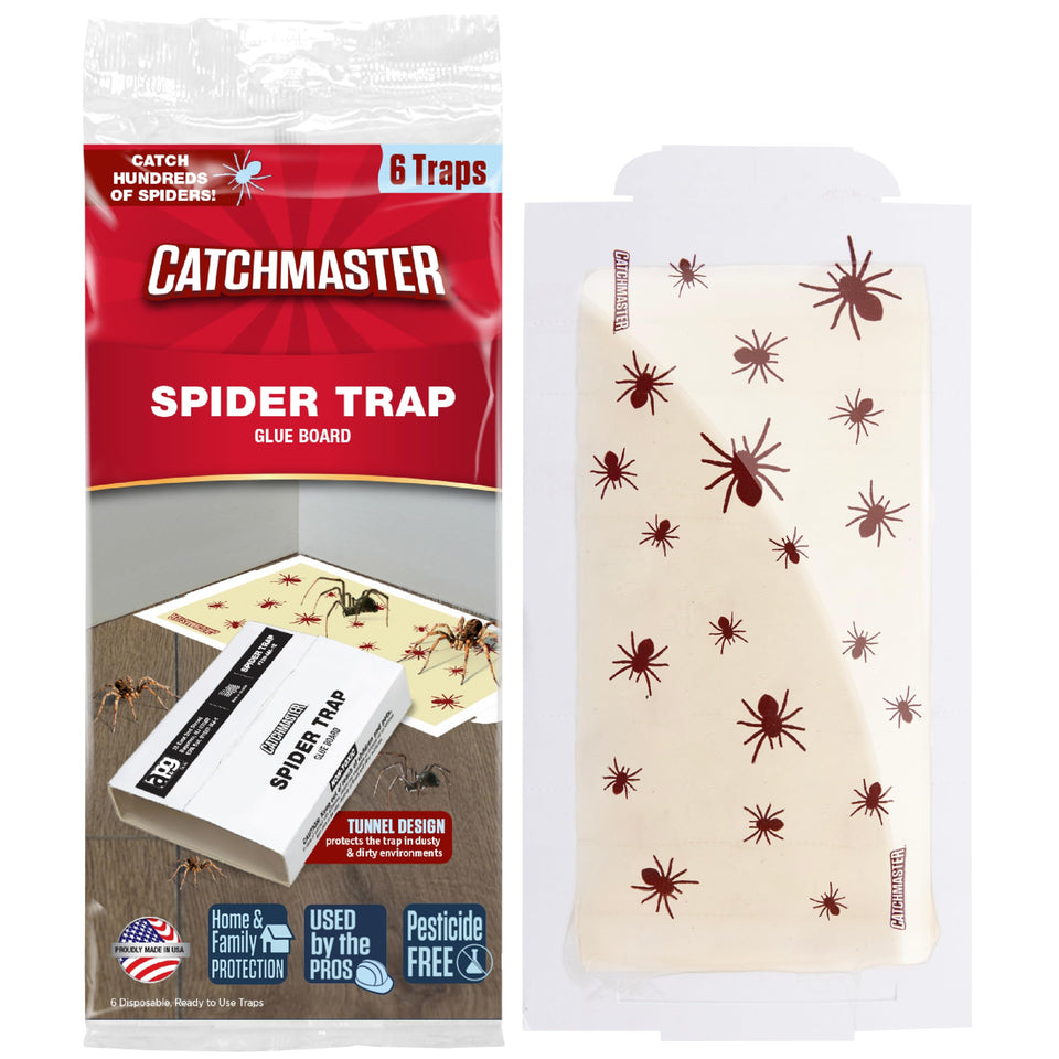 Catchmaster spider traps glue board 6-pack ready for year-round pest capture.