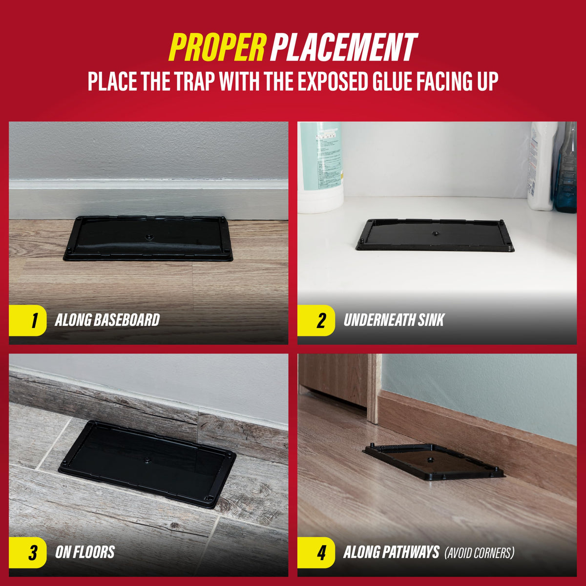 Catchmaster trap placement along pathways every 4 to 6 feet