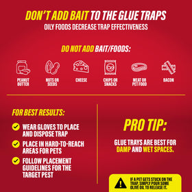 Catchmaster waterproof glue tray designed for damp environments.