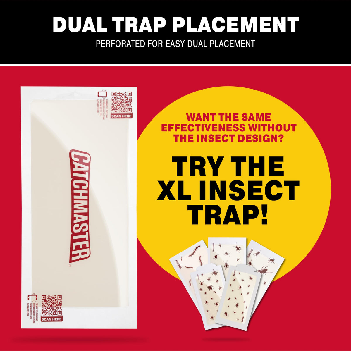 Catchmaster XL glue trap placed on wall for discreet indoor placement