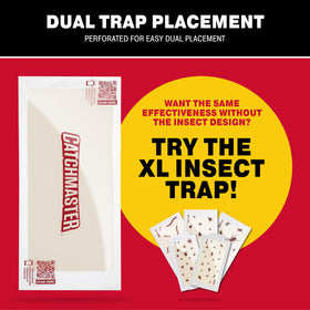 Catchmaster XL glue trap placed on wall for discreet indoor placement