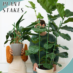 Catephe stake clips retain stems securely against wind