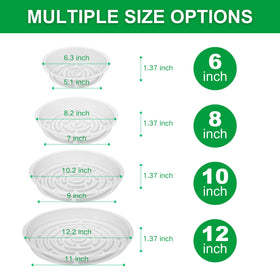 CATIFLIN clear saucers 10-inch promote drainage and airflow for medium pots.