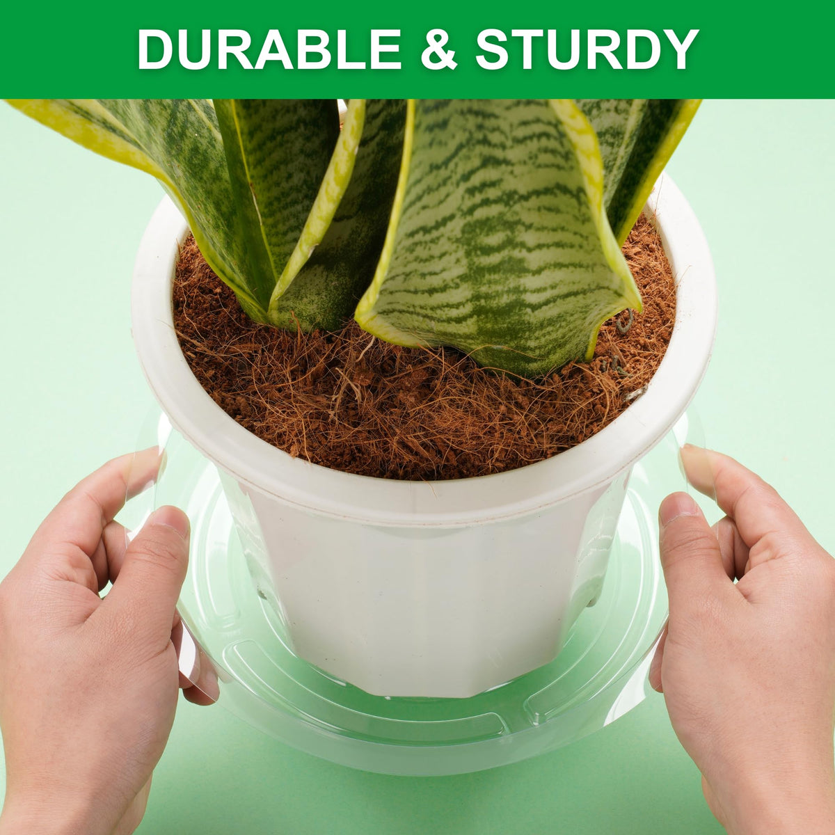 CATIFLIN clear saucers 12-inch suit large planters, protecting floors and reducing mess.