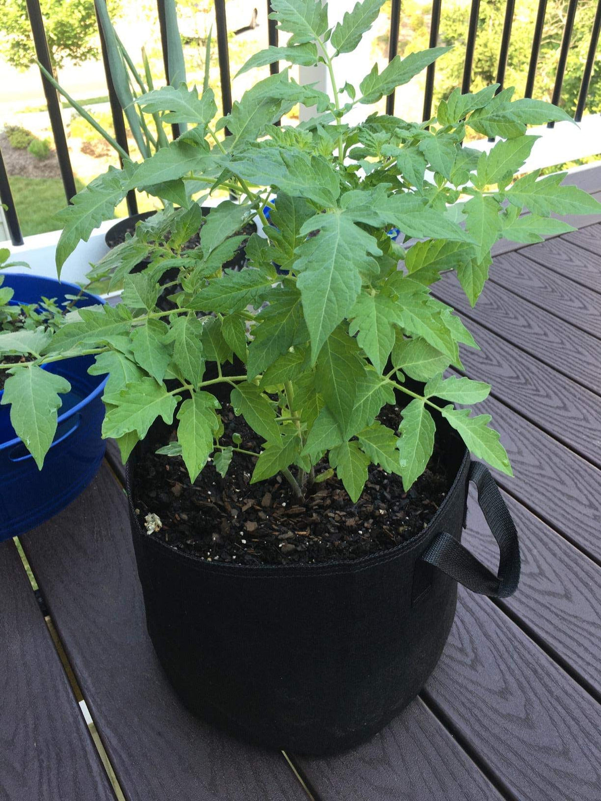 Cavisoo packaged 3gal grow bags stackable design for easy storage.