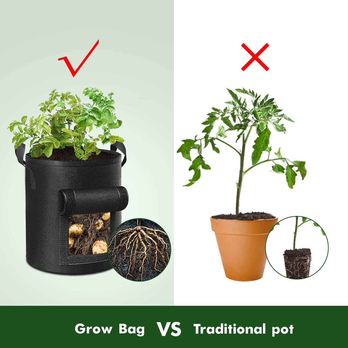 Cavisoo root-ventilation design helps prevent circling and supports growth.