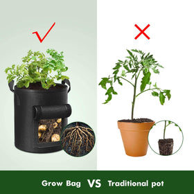 Cavisoo root-ventilation design helps prevent circling and supports growth.