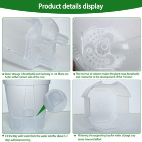 Cdd's Path 5-inch planter suitable for small orchids and herbs