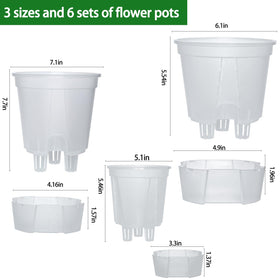 Cdd's Path 6-inch planter ideal for medium plants with drainage