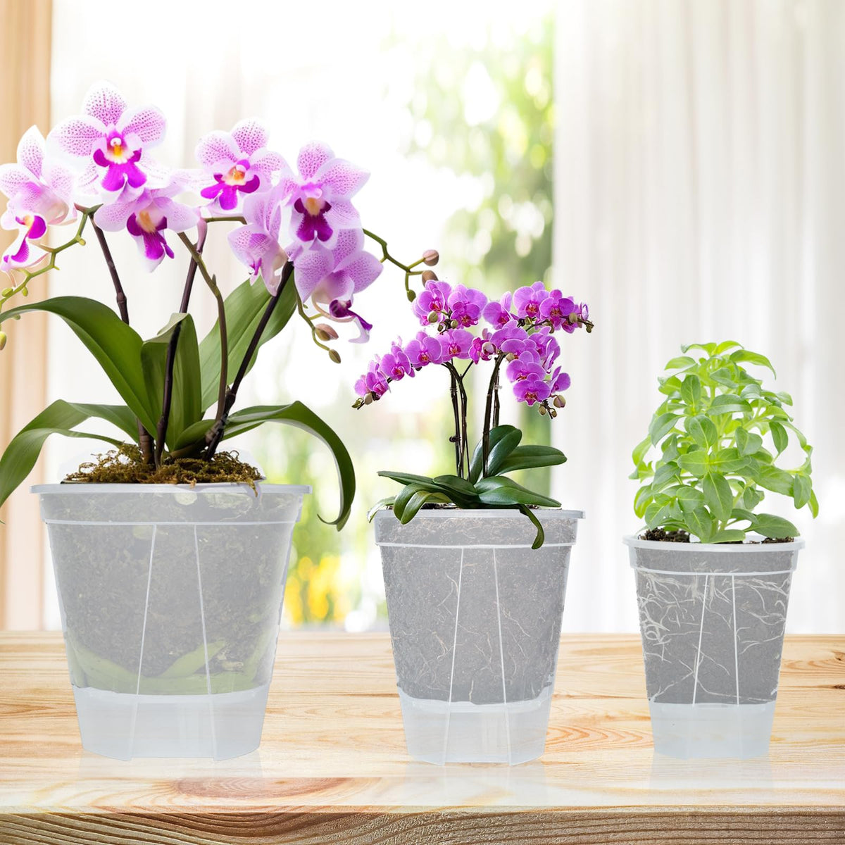 Cdd's Path 7-inch planter for larger plants with self-watering capability