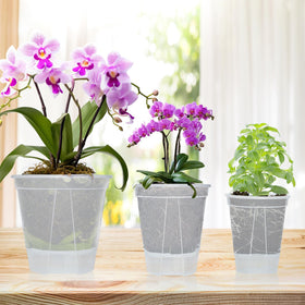 Cdd's Path 7-inch planter for larger plants with self-watering capability
